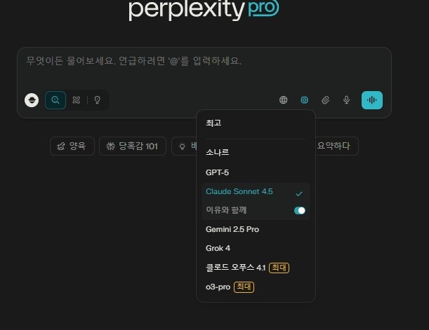 퍼플렉시티 프로 화면