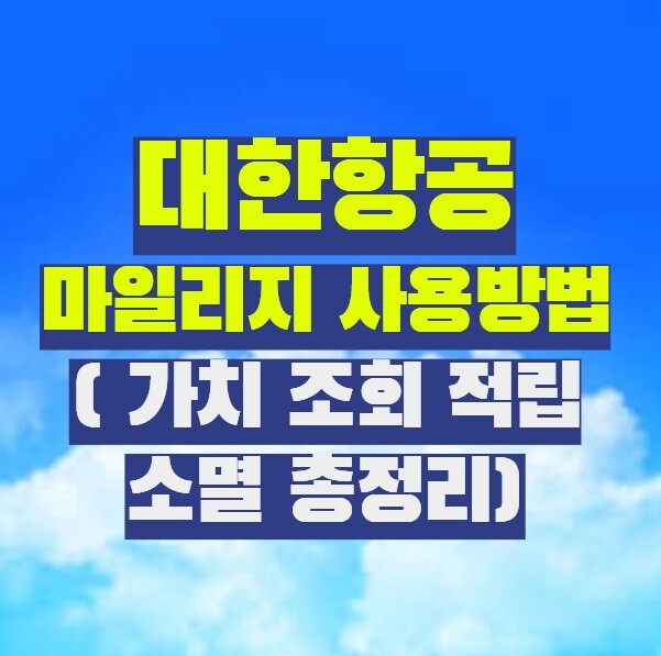 대한항공 마일리지 사용방법 ( 가치 조회 적립 소멸 총정리)