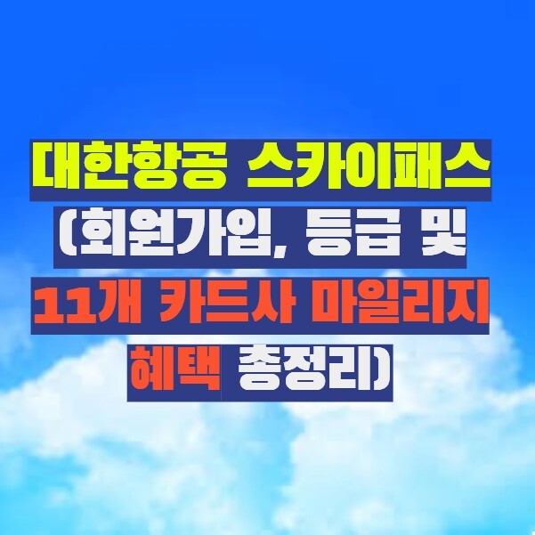 대한항공 스카이패스 (회원가입, 등급 및 11개 카드사 마일리지 혜택 총정리)