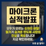 마이크론 실적발표