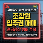 조합원 입주권 매매