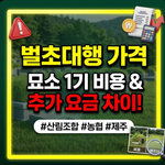벌초대행 가격