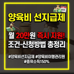 양육비 선지급제